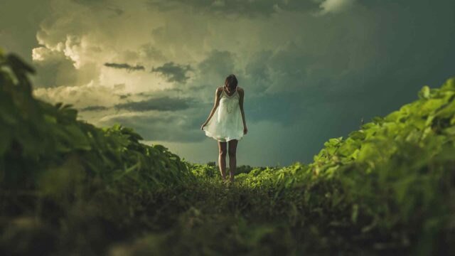 The 10 most rewatchable movies of all time