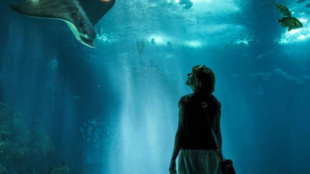 Get familiar with Jaeger Academy in new Pacific Rim uprising promo