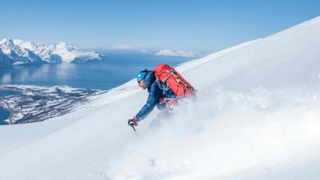 Hidding In The Woods (S1, Ep5)